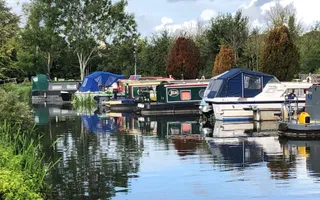 Boats moored in a sunny marina with trees in the background