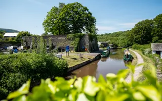 Bush in foreground canal and boats in background on a summer sunny day