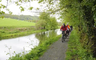 Line of cyclists on the towpath with a field on the opposite bank of the canal.