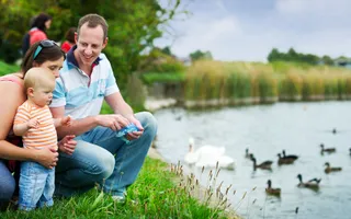 Family with a baby watching the ducks by water