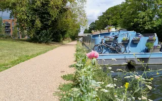 A new canal towpath with boat moored to the right on a sunny day and flowers in the foreground