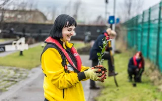Volunteer planting by canal