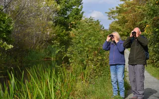 A couple stand on a grassy towpath looking through binoculars with trees in the background