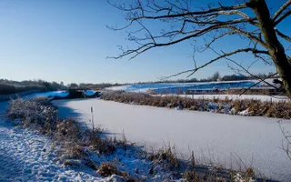 Rufford Branch covered and surrounded by snow
