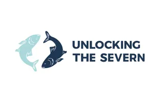 Unlocking the Severn project