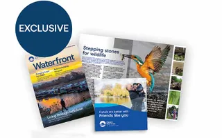 Exclusive Waterfront