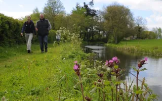 A picture of a canal, towpath, sky and flowers