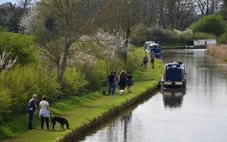 Groups of walkers with dogs along the Shropshire Union Canal where several boats are moored